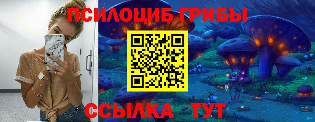 Галлюциногенные грибы GOLDEN TEACHER  Вход с VPN  Минусинск 